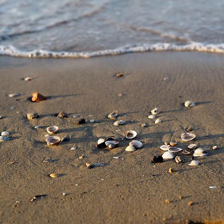 Lovely Peaceful Villa Near The Beach - Beahost Bibione Extérieur photo