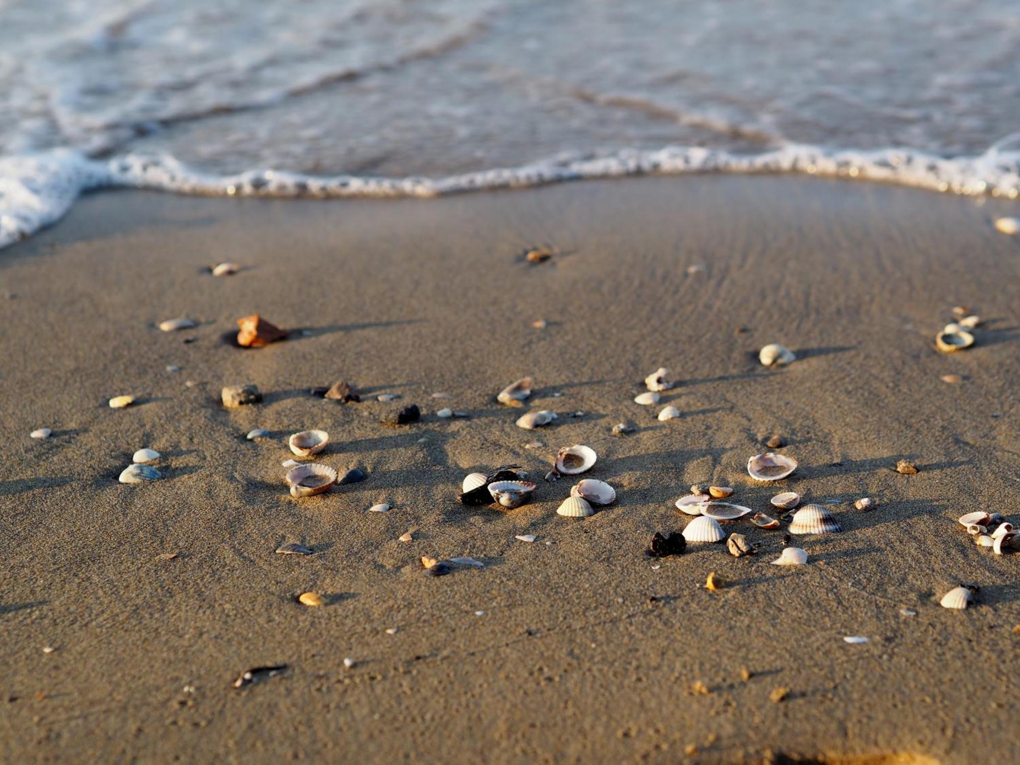 Lovely Peaceful Villa Near The Beach - Beahost Bibione Extérieur photo